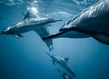 FIBA三篮官方社媒分享中国队花絮：大家加油呀